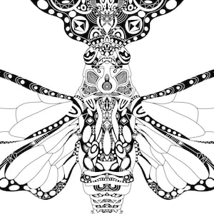 Bug coloring page