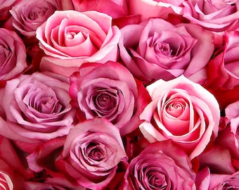 Ganz in Pink!