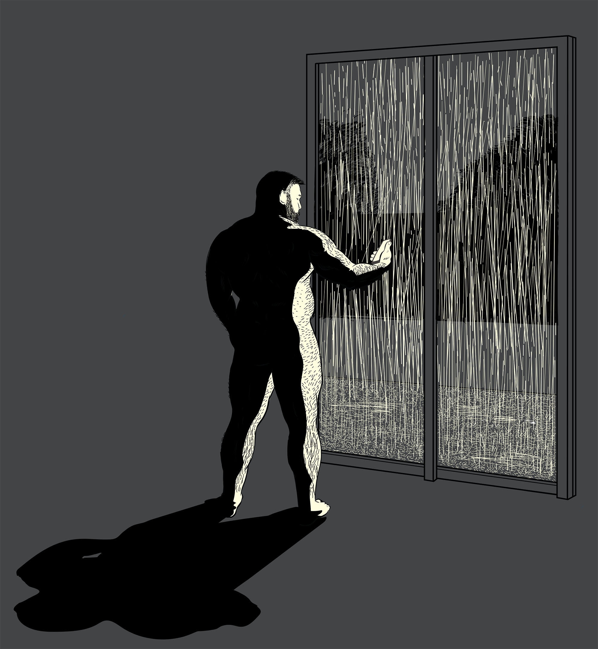 Night Window