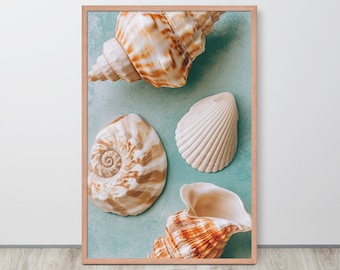 Poster Seashell Art Print Coastal Granddaughter Gift Coastal Aesthetic Art Coastal Grandma Wall Print Ocean Aesthetic Print Coastal Cowgirl