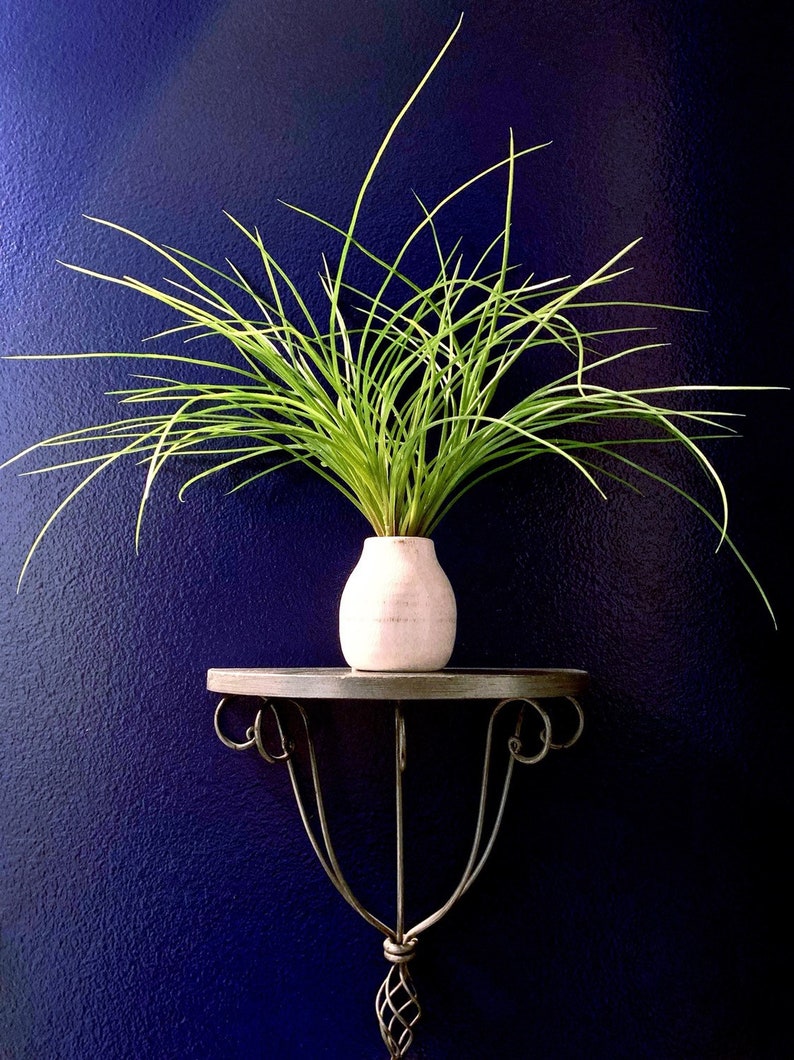 Artificial Grass in Ceramic Vase Arrangement Realistic Plant Etsy