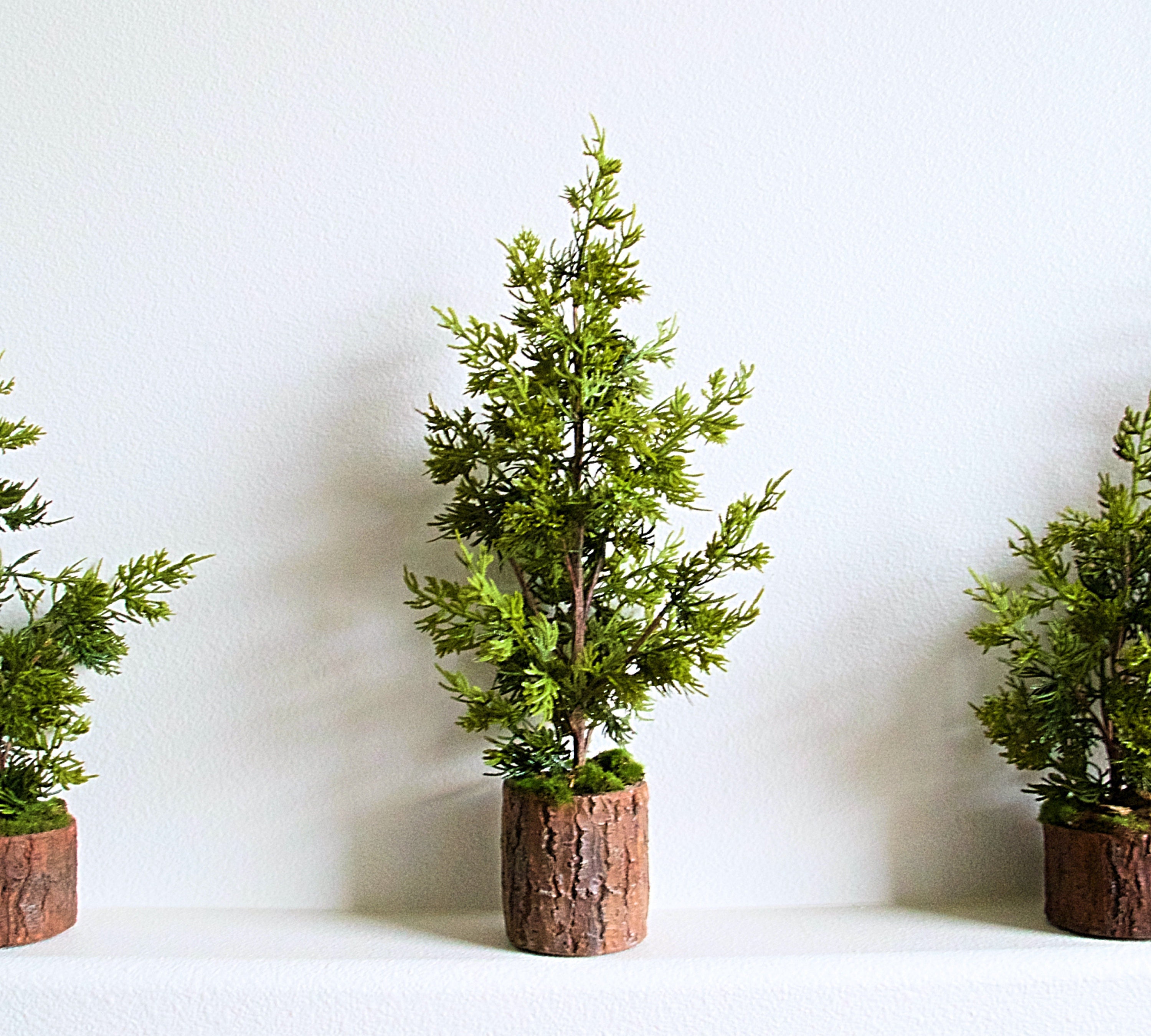 22 Soft Pine Mini Christmas Topiary Tree for Mantel