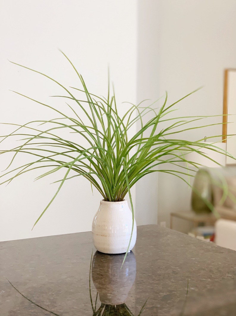 Artificial Grass in Ceramic Vase Arrangement Realistic Plant Etsy