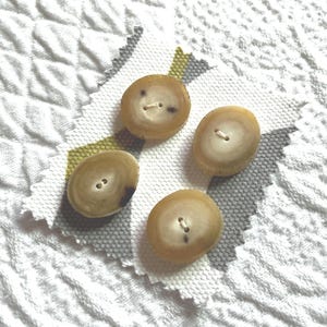Set of four beige toned plastic buttons, 20 x 23 mm