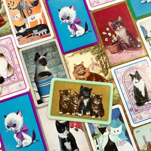 May include: A collection of vintage playing cards featuring various cat illustrations. The cards showcase different cat breeds and poses, with vibrant colors and retro designs. Some cards have text, including the name "Tarzan".