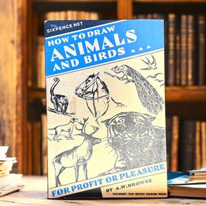Vintage-Buch des Zeichnens von Tieren und Vögeln aus Foulshams Easy Methoden-Zeichnungsserie, ein illustrierter Führer zur Kunst für Profit oder Vergnügen