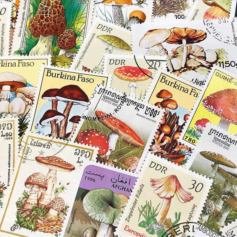 Mushroom Postage Stamps for Craft Projects Ephemera Pack of - Etsy UK