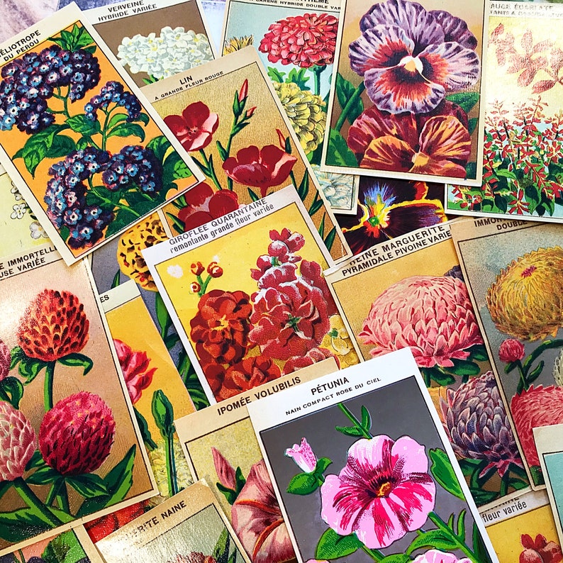 French Flower Seed Labels, ephemera pack of ten, from vintage seed packets, for junk journals and scrapbooks, mixed media collage supply image 3