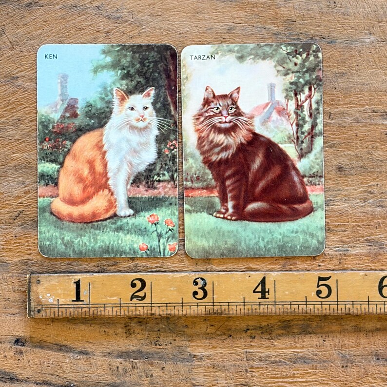 May include: Two rectangular playing cards featuring illustrations of cats in a garden setting. The left card labeled KEN shows a white and orange cat, while the right card labeled TARZAN shows a brown cat. A wooden ruler shows a width of 6 inches.