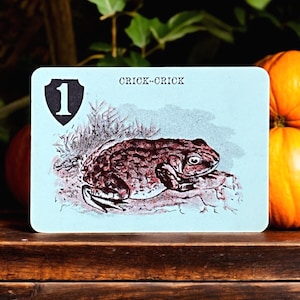 Cartes à jouer grenouille vintage pour Halloween tirées d'un jeu de capture d'animaux par St Michael, échange unique et fourniture de journaux indésirables, collage technique mixte