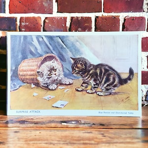 Vintage Blau Perser und kurzhaarige Tabby Katze Postkarte Künstler signiert von Mabel Gear, Surprise Attack, unbenutzte süße Kätzchen Karte für Sammler