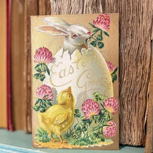 Cartolina d'epoca con conigli pasquali, coniglietto bianco che esce da un uovo con un pulcino che lo osserva, fiori primaverili su un biglietto d'auguri pasquale d'epoca