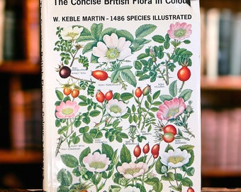 Concise British Flora In Colour by W Keble Martin, vintage book of botanical illustration, junk journaling inspiration, flower book plates