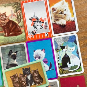 May include: A collection of rectangular playing cards featuring various cat illustrations, including a brown tabby, a kitten with a red bow, a fluffy cream kitten, a Siamese cat, a white kitten with a purple bow, and a pair of black and white cats.