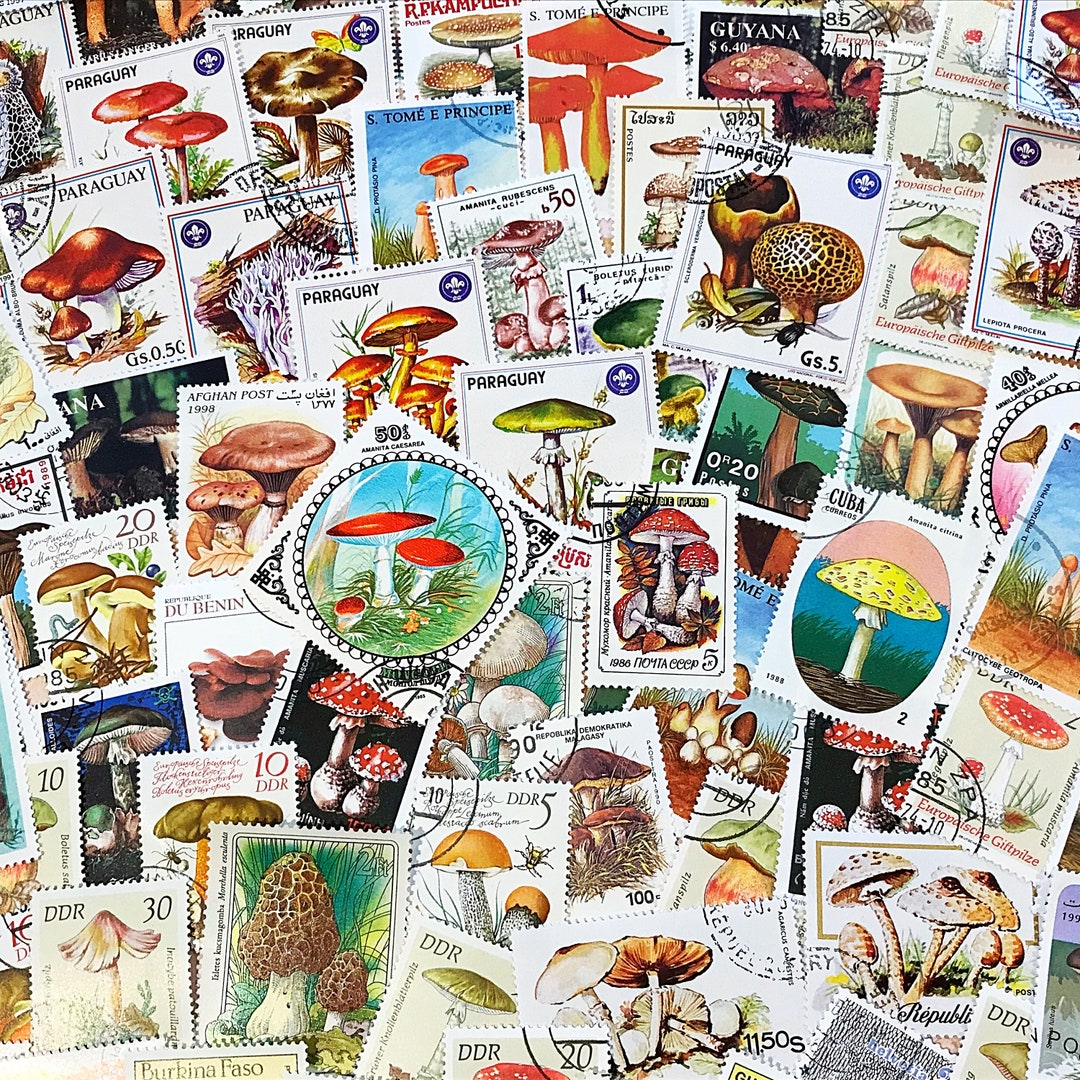 Mushroom Postage Stamps for Craft Projects Ephemera Pack of - Etsy UK