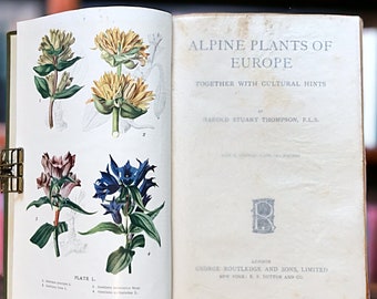 Vintage book of the Alpine Plants of Europe by H S Thompson, 64 colour botanical plates of the flowers, junk journal inspiration, gift idea