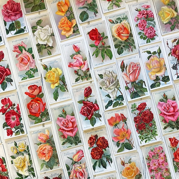 Ten Will’s Roses Cigarette Cards for junk journals, vintage and antique ephemera for mixed media, pocket tucks and scrapbook supplies