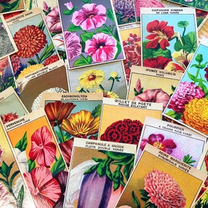 French Flower Seed Labels, ephemera pack of ten, from vintage seed packets, for junk journals and scrapbooks, mixed media collage supply image 4