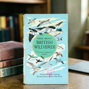 May include: A vintage book titled "More About British Wild Birds" with illustrations of various birds in flight. The cover is light blue with a green circle containing the title. The book is part of "The Young Naturalist Series."