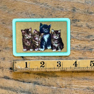 May include: A rectangular card featuring four kittens on a gold background with a light blue border. The kittens include three brown tabby cats and one solid black cat. A wooden ruler is positioned below, showing the card is 5 inches wide.