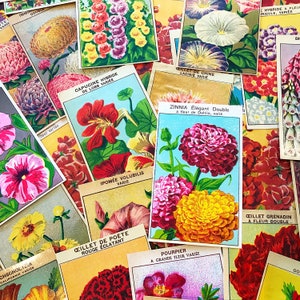 French Flower Seed Labels, ephemera pack of ten, from vintage seed packets, for junk journals and scrapbooks, mixed media collage supply image 2