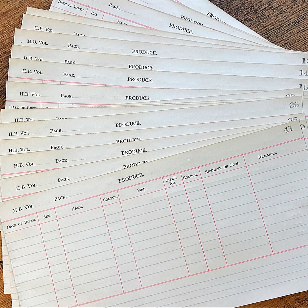Vintage Farm Ledger Paper Pages From a Herd Stock Record Book, Two