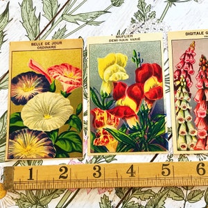 French Flower Seed Labels, ephemera pack of ten, from vintage seed packets, for junk journals and scrapbooks, mixed media collage supply image 7