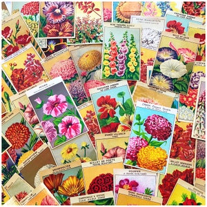 Vintage französische Blumensamen-Etiketten, Ephemera-Packung mit 10 Samen aus alten Samenpäckchen, für Junk Journals und Scrapbooks, Mixed Media Collage Bedarf