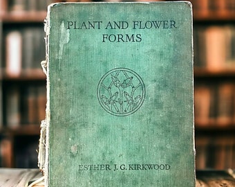 Plant and Flower Forms by Esther Kirkwood a vintage book of botanical drawings and  illustrations, for students, artists and junk journaling