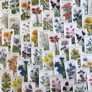 Five Alpine Flowers Cigarette Cards for junk journals, vintage and antique ephemera for mixed media, pocket tucks and scrapbook supplies
