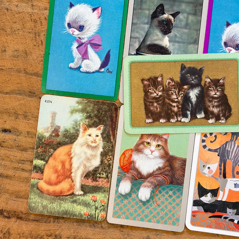 May include: A collection of rectangular playing cards featuring various cat illustrations. One card shows a white kitten with a purple bow, another depicts a long-haired orange and white cat labeled KEN, and others show groups of kittens and yarn.