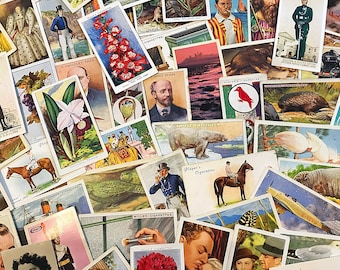 Könnte beinhalten: Eine Sammlung von Vintage-Zigarettenkarten mit verschiedenen Bildern, darunter ein Mann im Anzug, eine Frau im Kleid, ein Vogel, eine Schlange und eine Landschaft. Die Karten sind auf dickem Papier gedruckt und haben einen abgenutzten Vintage-Look. Die Karten sind alle in verschiedenen Größen und Formen, und einige haben Text darauf. Der Text auf den Karten enthält die Namen der Zigarettenmarken, wie "Player's" und "Wills's".
