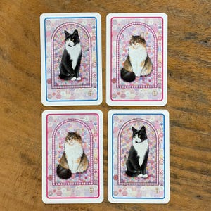 May include: Four playing cards featuring cat illustrations. Each card has a different cat, with black and white, and brown and white cats. The cards have a pink and blue border with a floral pattern.