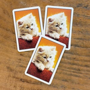 May include: Three playing cards featuring a fluffy kitten with light-colored fur and blue eyes. The kitten is resting on a red cushion against an orange background. The cards have a white border and are arranged on a wooden surface.