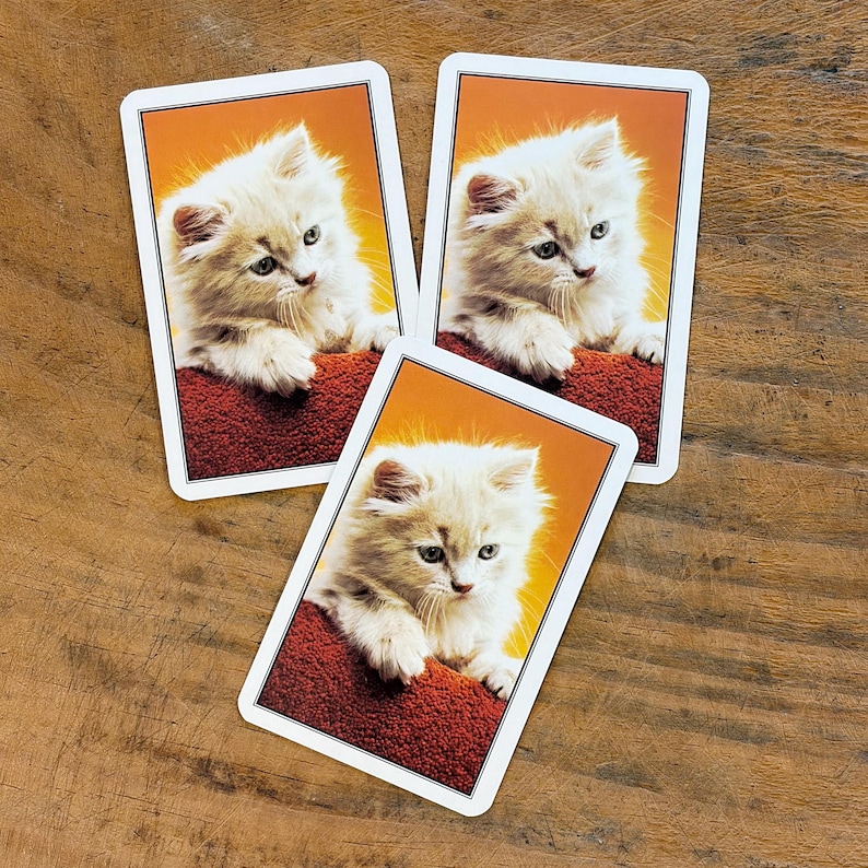 May include: Three playing cards featuring a fluffy kitten with light-colored fur and blue eyes. The kitten is resting on a red cushion against an orange background. The cards have a white border and are arranged on a wooden surface.