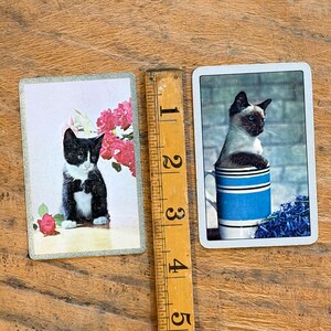 May include: Two rectangular playing cards placed next to a wooden ruler measuring 5 inches. The left card shows a black and white kitten with pink flowers. The right card features a Siamese kitten sitting inside a blue and white striped mug.