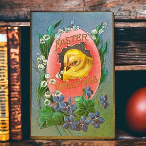 Vintage Ostergrußpostkarte eines niedlichen Kükens, das aus einem rosa Ei schlüpft, unbenutzte antike Blumenkarte mit Veilchen, Frühlingsblumen für Sie