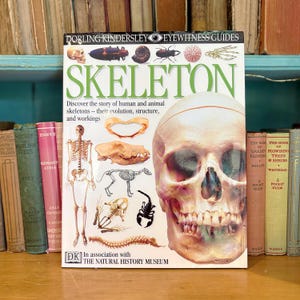 May include: A hardback book titled "SKELETON" by Dorling Kindersley, part of the Eyewitness Guides series. The cover displays a human skull and skeletal illustrations. The book explores human and animal skeletons and is in association with The Natural History Museum.