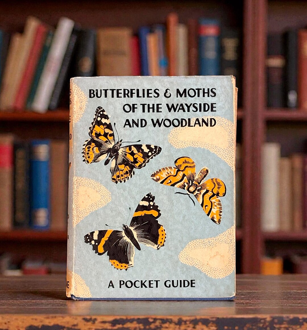 The Butterflies and Moths of the Wayside and Woodland a Vintage Pocket ...