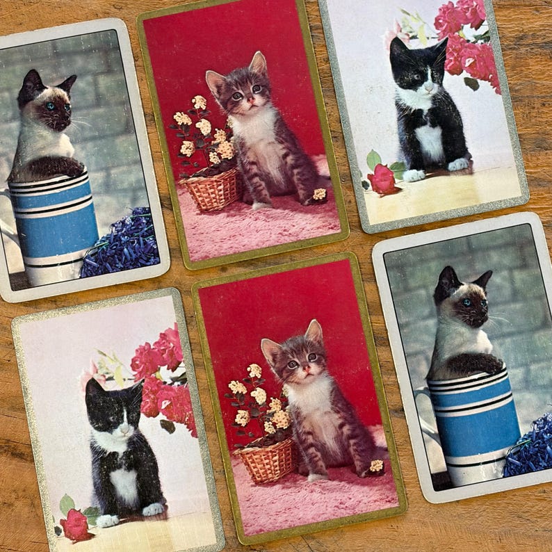 May include: Set of six vintage-style playing cards featuring adorable kitten illustrations. The cards showcase various cat breeds, including Siamese and tuxedo cats, with floral and brick background elements. Each card has a unique design and color scheme.