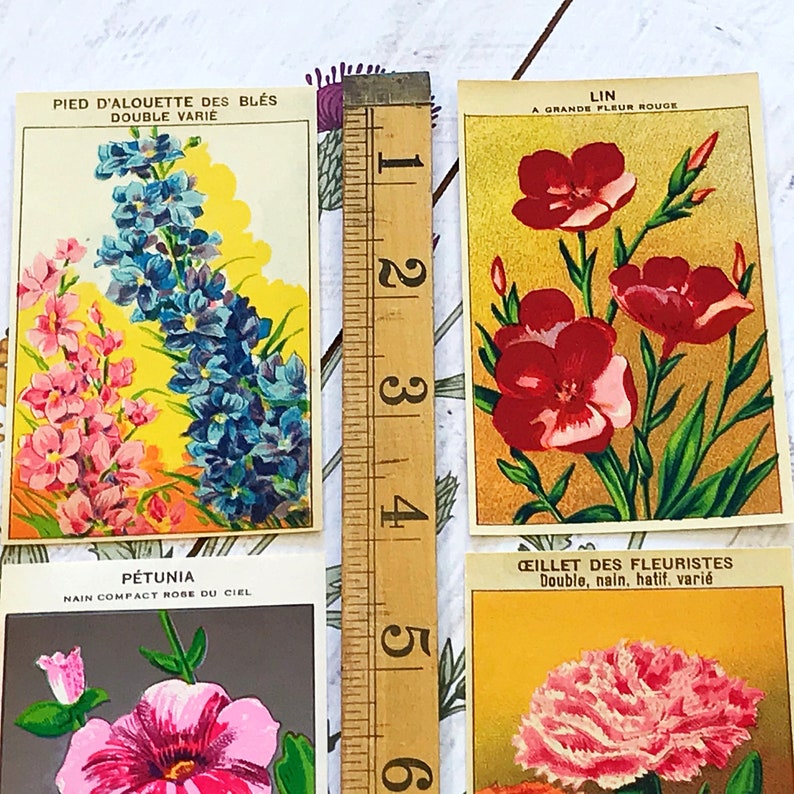 French Flower Seed Labels, ephemera pack of ten, from vintage seed packets, for junk journals and scrapbooks, mixed media collage supply image 6