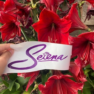 Selena Quintanilla decal/ sticker