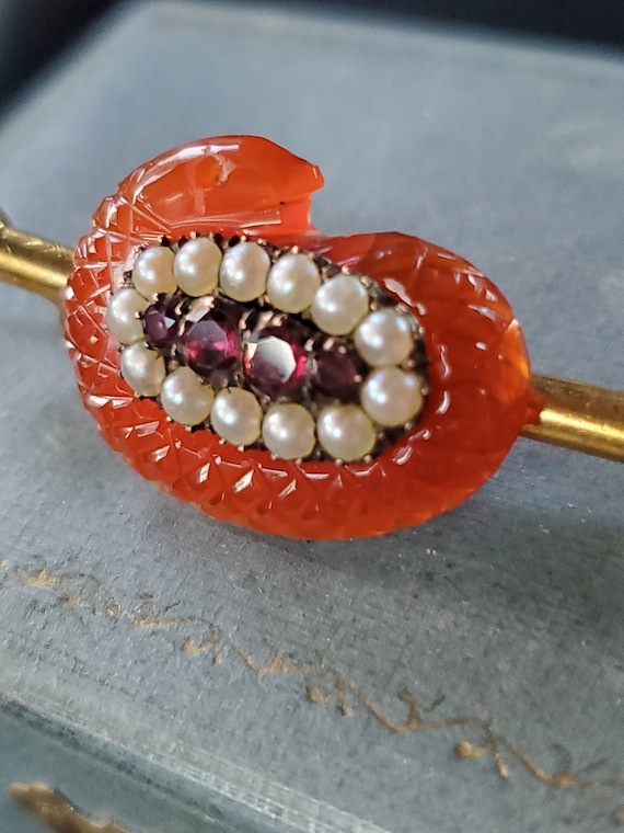 Victorian Carnelian Snake Brooch / Victorian Brooc