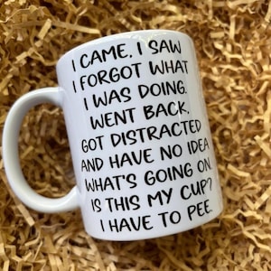 I came, I saw mug - funny mug - rude mug