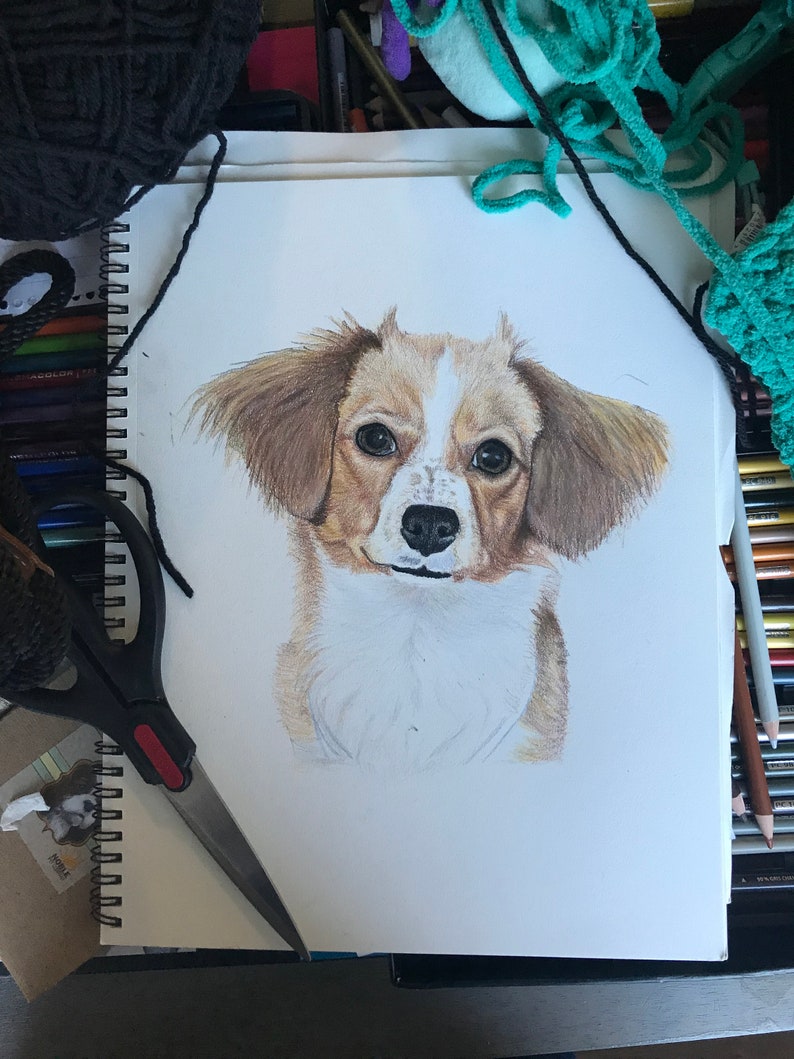 Pet Dog Portraits Colored Pencil Drawing Etsy