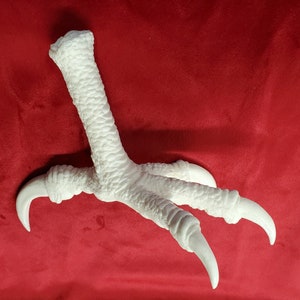 Harpy eagle bird replica foot unfinished