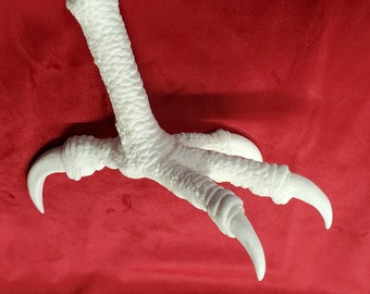 Harpy eagle bird replica foot unfinished
