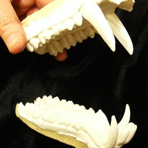 Huge male baboon monkey jaws teeth reproduction mask costume fursuit