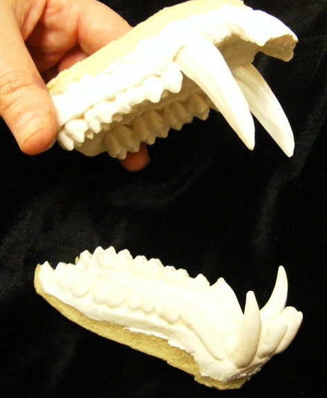 Énorme babouin mâle singe mâchoires dents reproduction masque costume fursuit