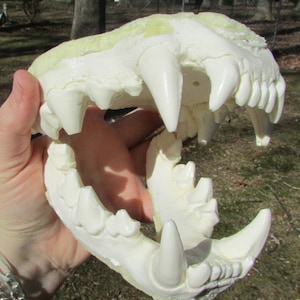 Huge spotted hyena jaws teeth fur suit fursuit costume crafts mask